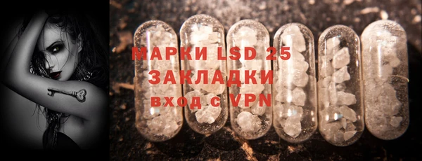 ГАЛЛЮЦИНОГЕННЫЕ ГРИБЫ Вязьма