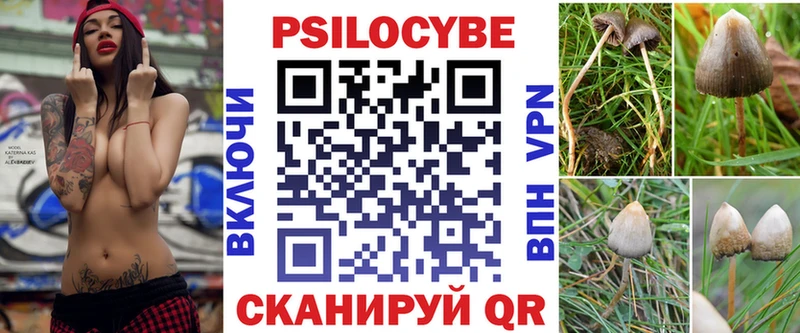 закладка  Каргополь  Галлюциногенные грибы мухоморы 